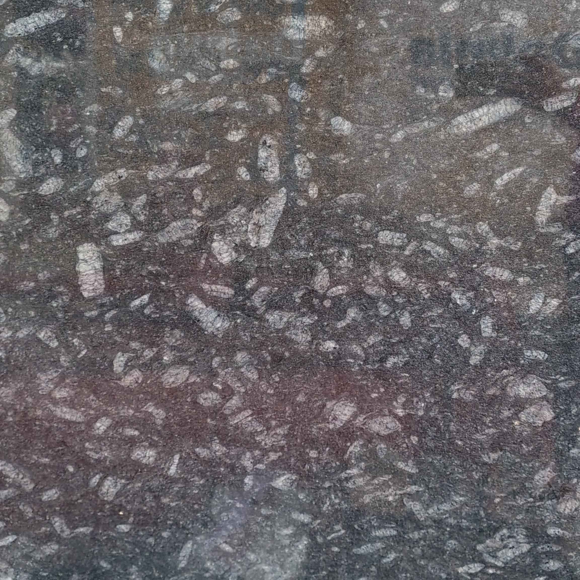 GRANITE(1 NO) BLACK WHITE ROUND STRIP(124*40)
