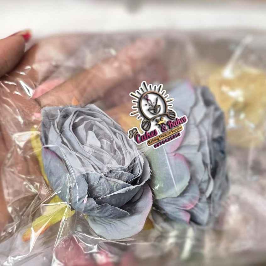 Grey big Peony Flower
