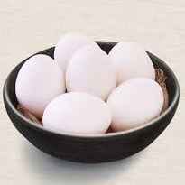 Egg