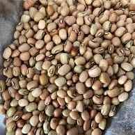 GULABI HALSANDI 500GM