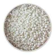 SABUDANI 500GM