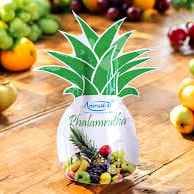 AMRUTHA PHALAMRUTHA RS 70/-