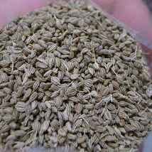 AJWAIN 100GM
