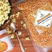 ORGANIC POPCORN 250G