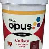 EWS 2 Calista Ever Wash Shine-950ml