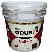 EWS 1 Calista Ever Wash Shine-10L