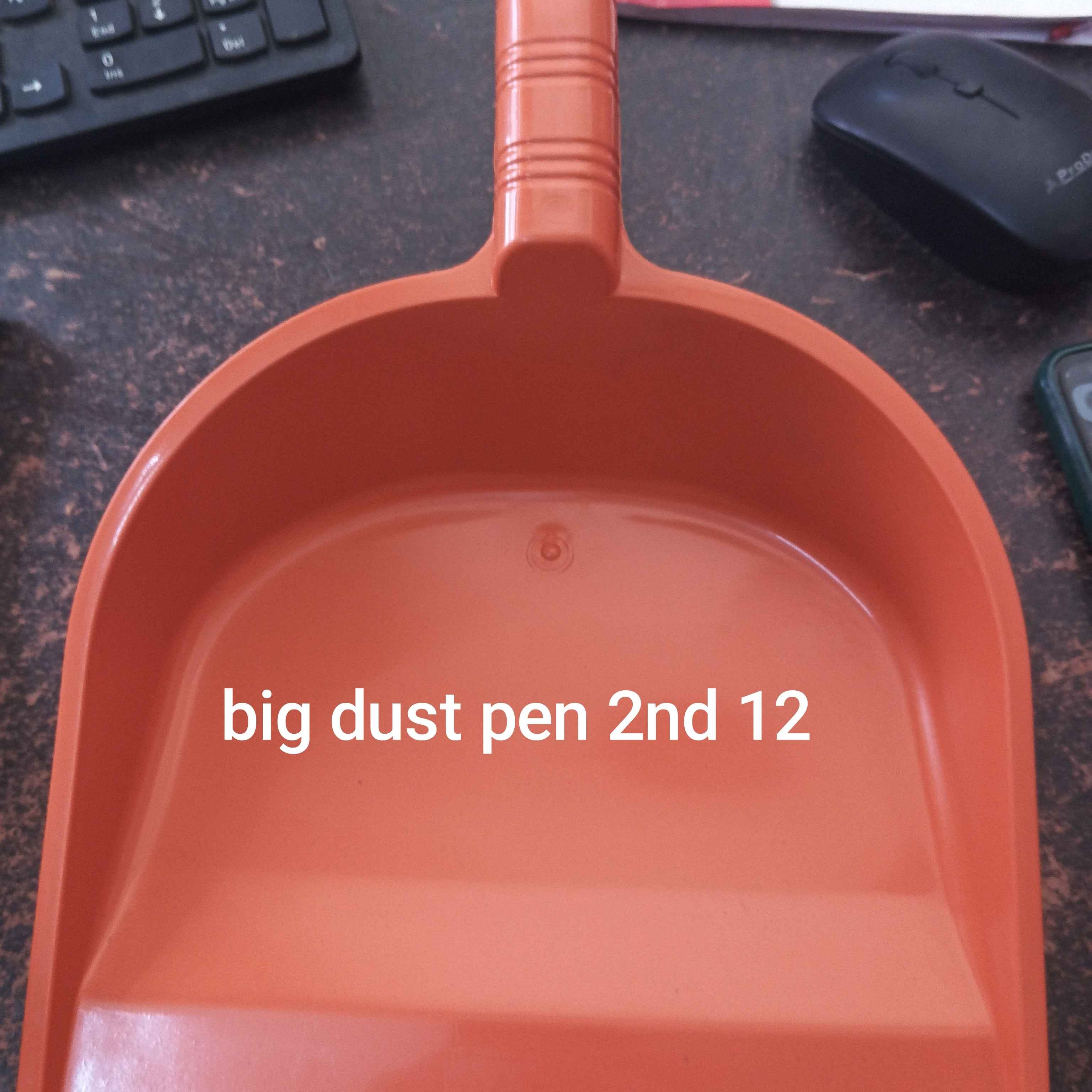 Big Dust pen 2nd
