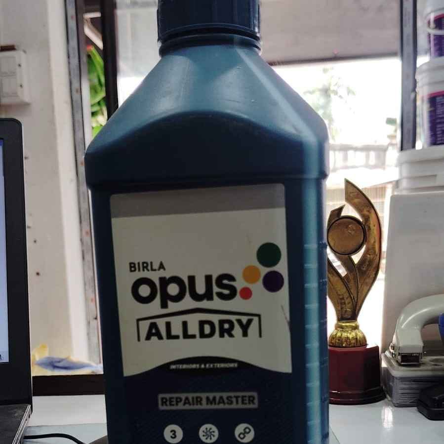 RM 22 Allldry Repair Master-1KG