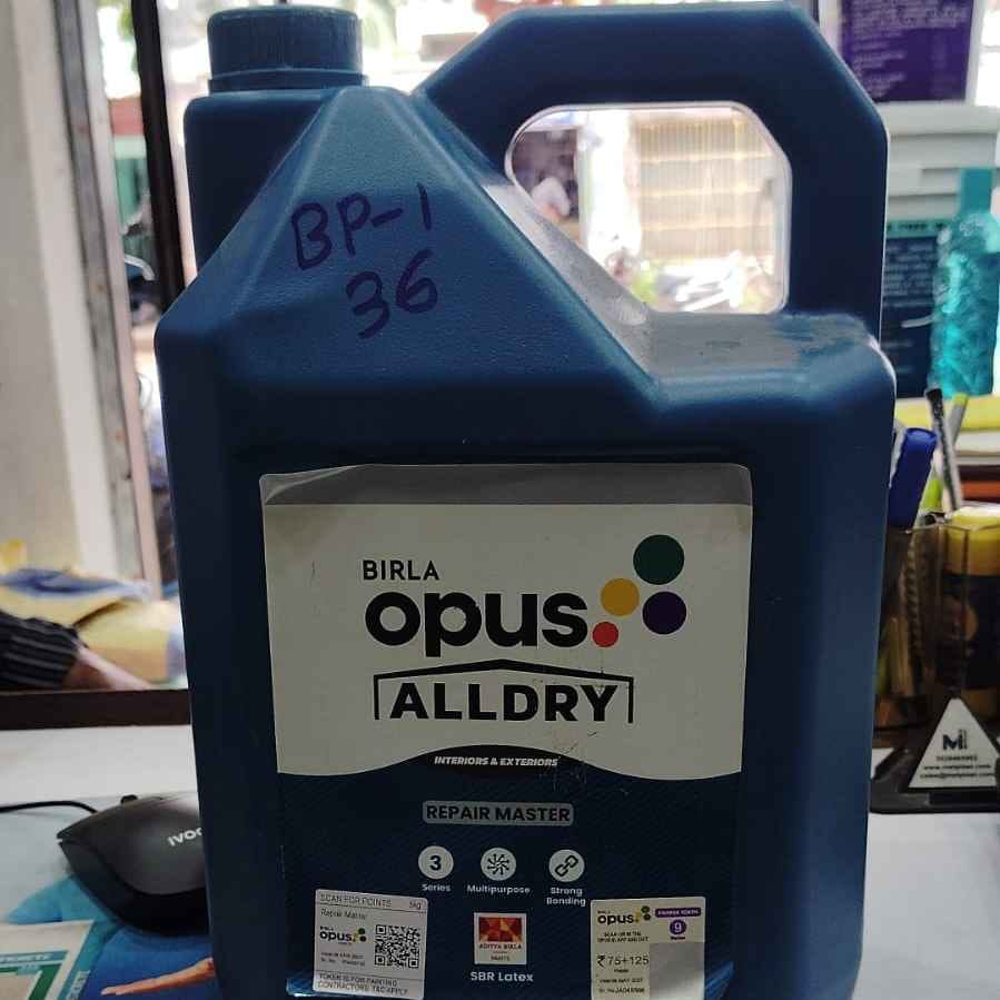 RM 22 Alldry Repair Master-5KG