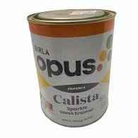 SGE TR BROWN Calista Sparkle Gloss-1L