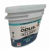 WF10 White AllDry Wallnroof10-10L
