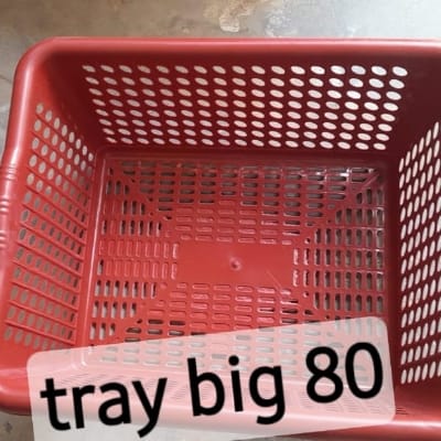 Multy tray big 2nd