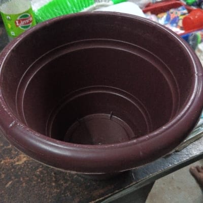 Plantner black 10 no