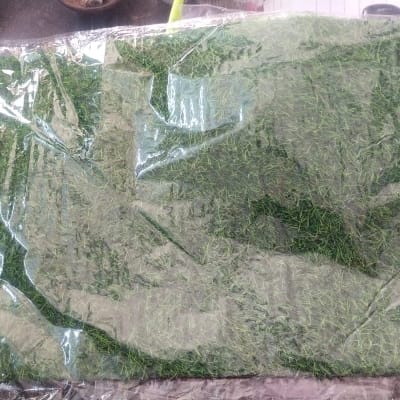 Green grass mat