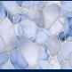 END VARESE BLUE