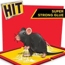 RAT PAD RS 60