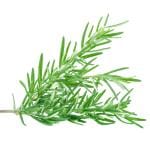Rosemary 10 g