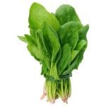 Spinach (Paalak) 1 bunch (Approx 100 g - 300 g)