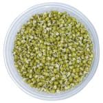 Sprouted Beans 1 Pack (Approx 200 g - 250 g)