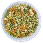 Sprouts Mixed 1 Pack (Approx 200 g - 250 g)
