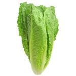 Trikaya Lettuce Romaine Green 250 g