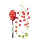 Trikaya Spoon Tomato 250 g