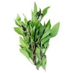 Trikaya Thai Basil 10 g